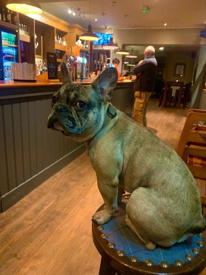 Отель Crown & Anchor Уокинг Экстерьер фото